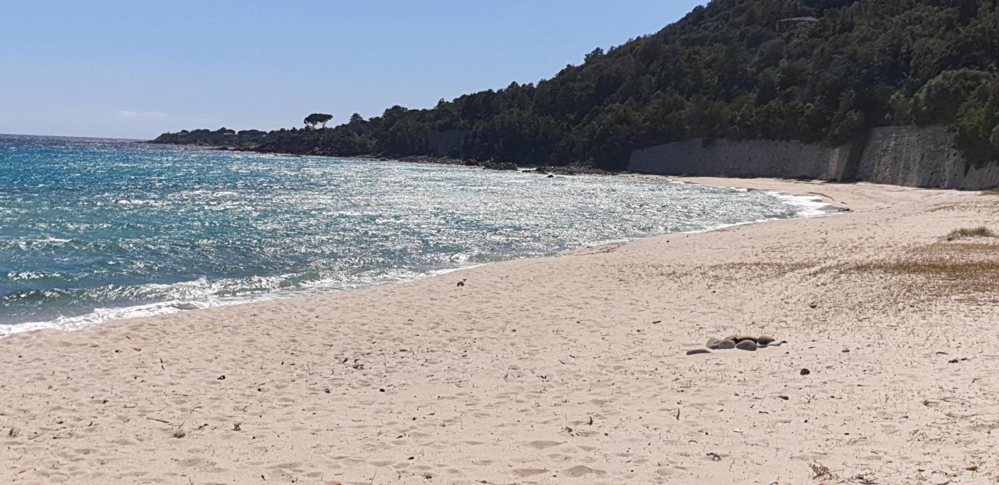 Auberge De Cannedda Sari-Solenzara Oda fotoğraf